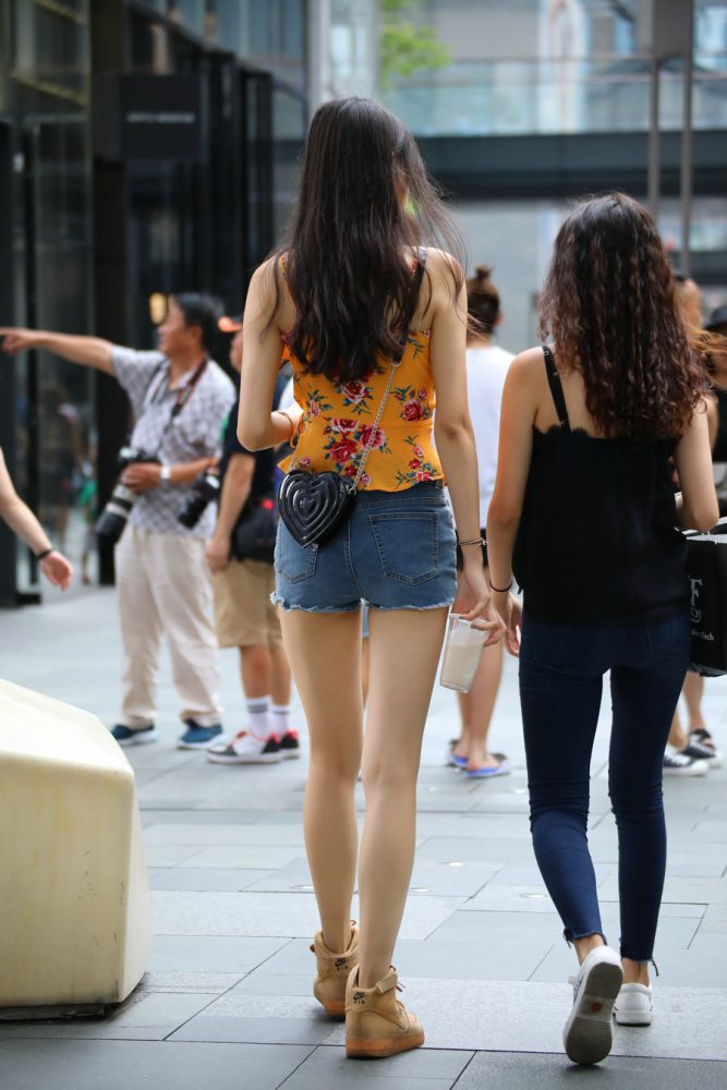 J2023 30P-255MB-图好看