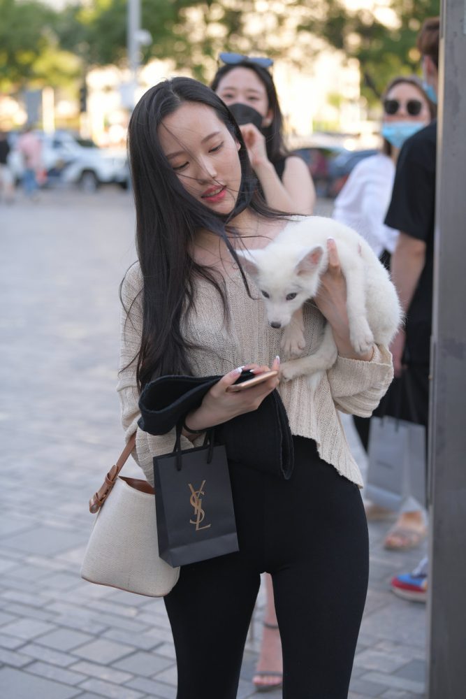 抱着小狗的漂亮女孩 J2106 136P-3.25GB-图好看